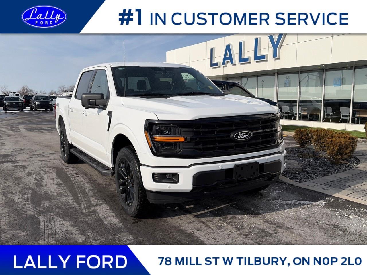 2025 Ford F-150 XLT 4WD SuperCrew 5.5' Box Photo0