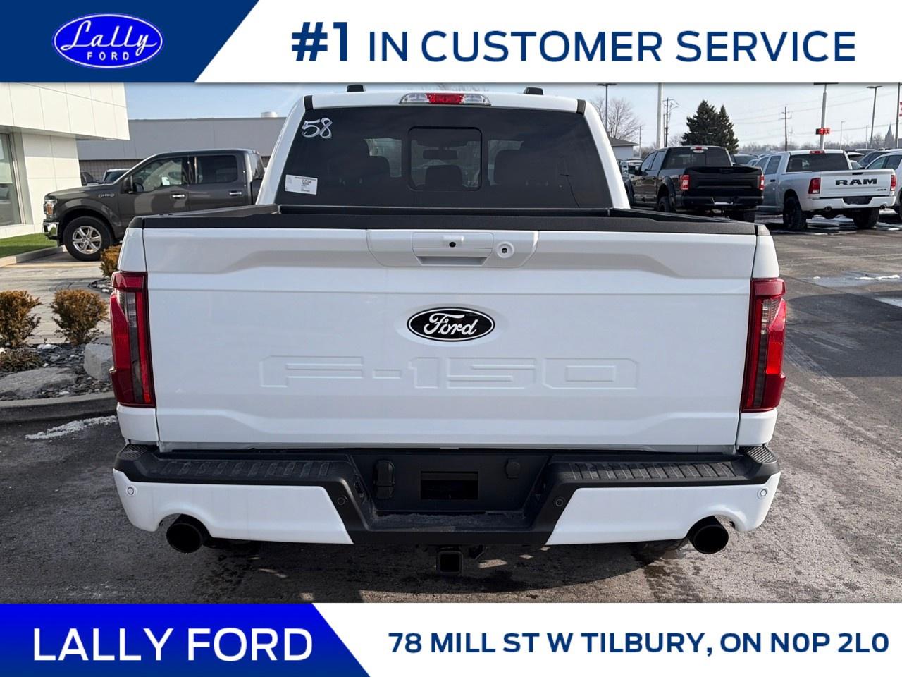 2025 Ford F-150 XLT 4WD SuperCrew 5.5' Box Photo3