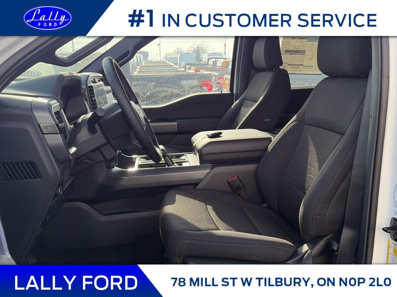 2025 Ford F-150 XLT 4WD SuperCrew 5.5' Box Photo