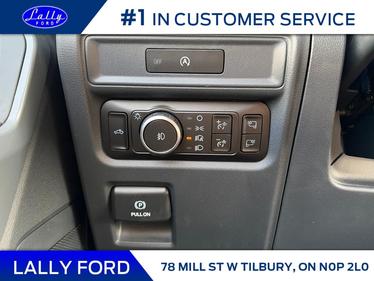 2025 Ford F-150 XLT 4WD SuperCrew 5.5' Box Photo