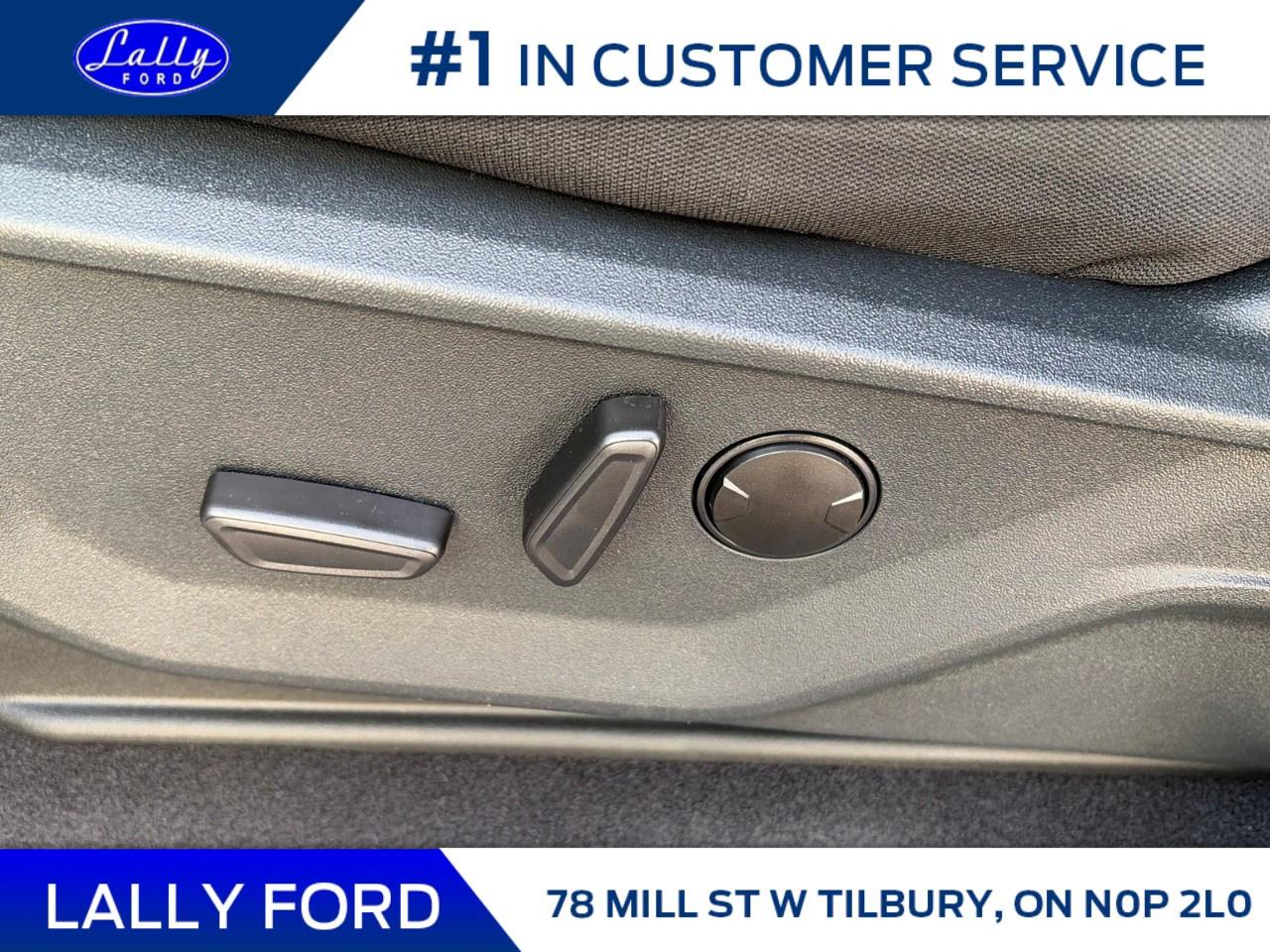 2025 Ford F-150 XLT 4WD SuperCrew 5.5' Box Photo