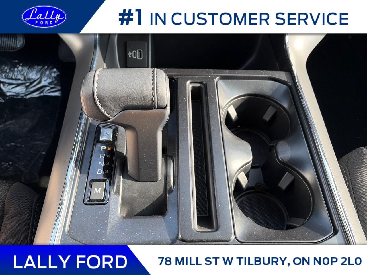 2025 Ford F-150 XLT 4WD SuperCrew 5.5' Box Photo