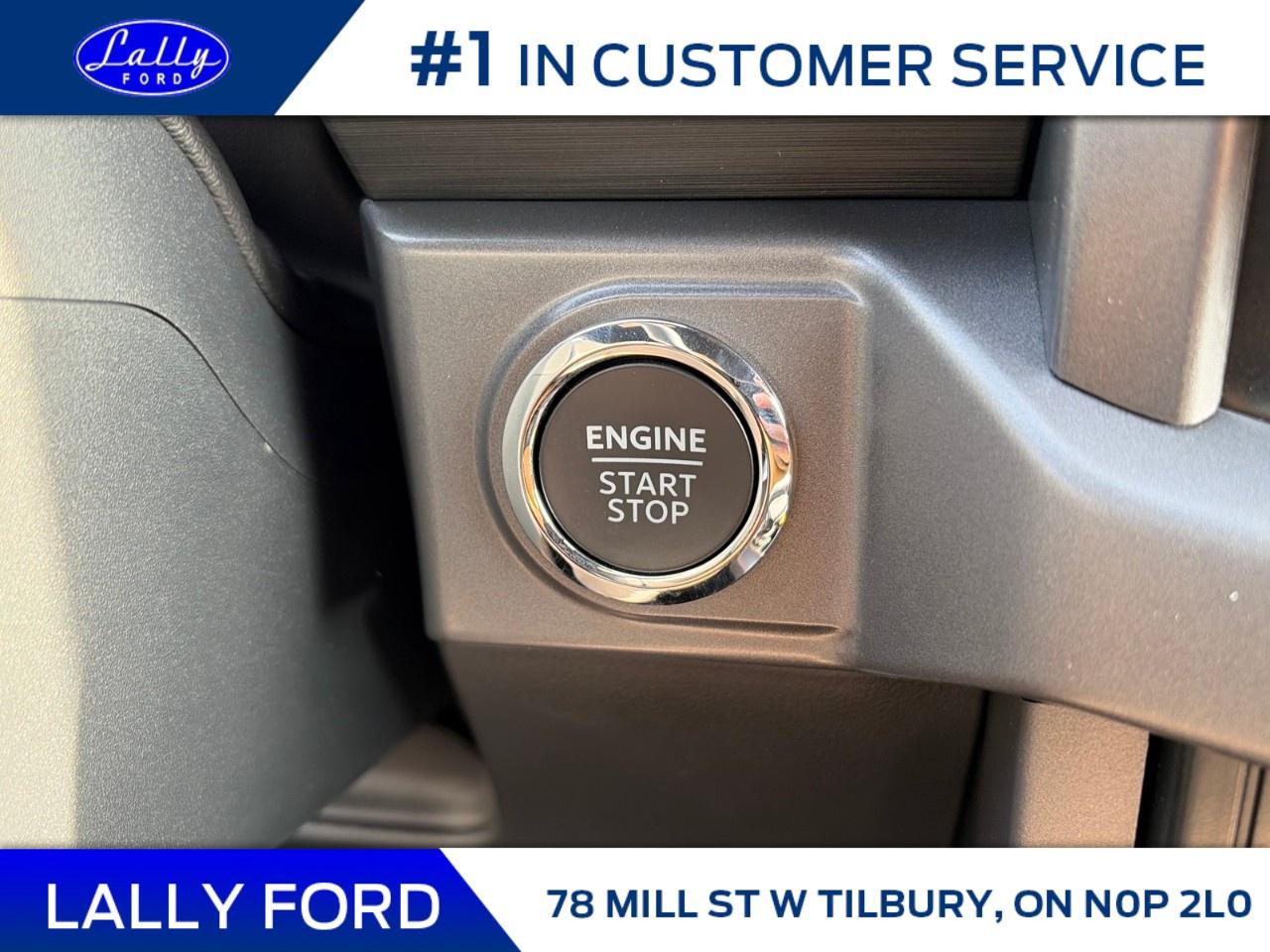 2025 Ford F-150 XLT 4WD SuperCrew 5.5' Box Photo