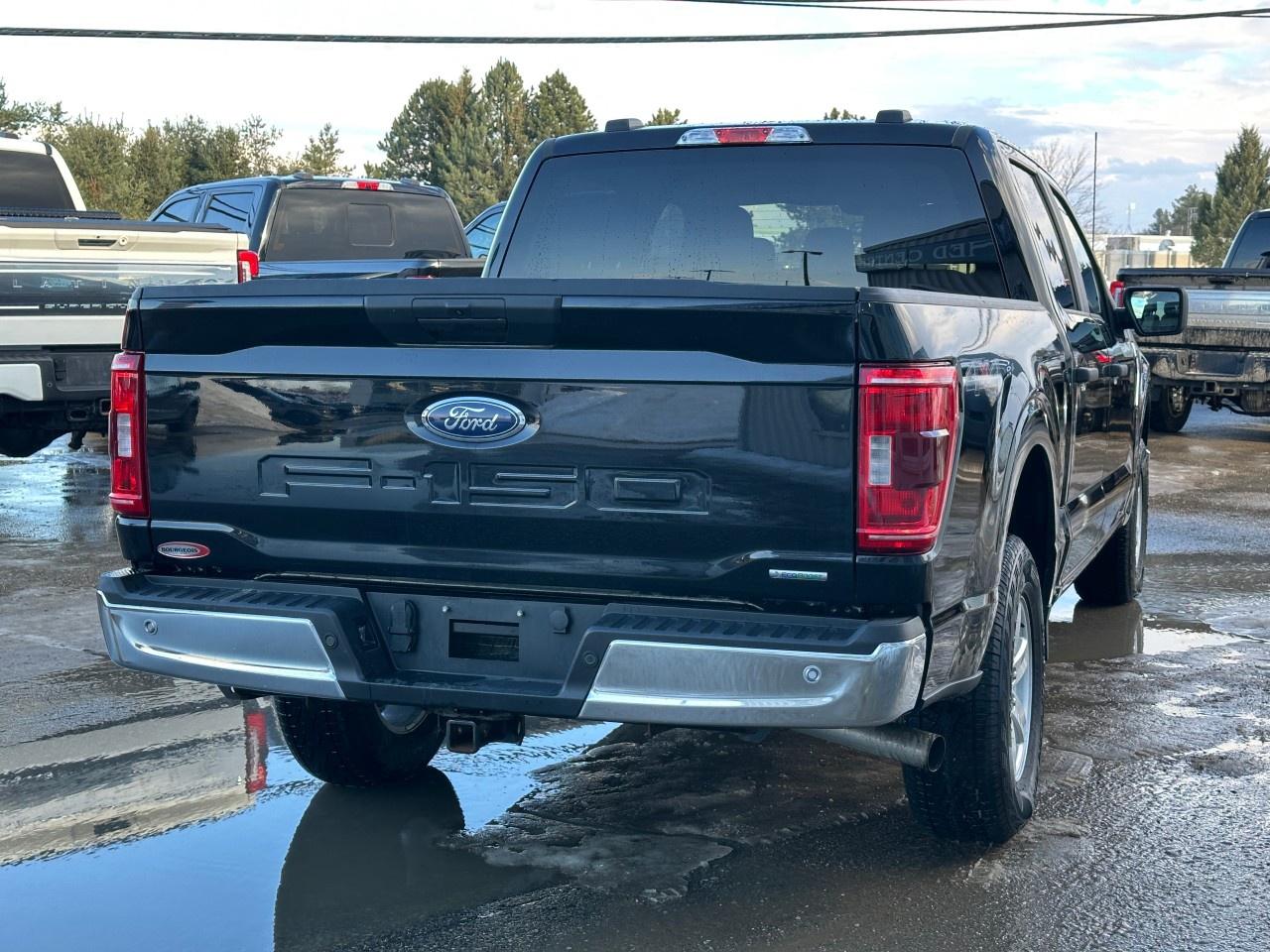 2022 Ford F-150 XLT 4WD SuperCrew 5.5' Box Photo