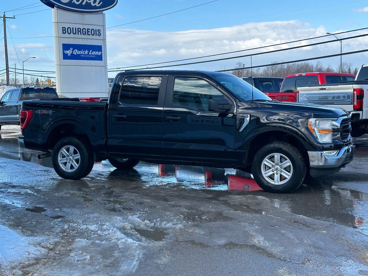 2022 Ford F-150 XLT 4WD SuperCrew 5.5' Box Photo4