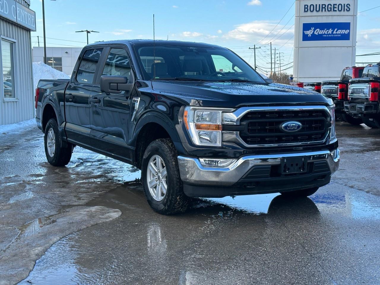 2022 Ford F-150 XLT 4WD SuperCrew 5.5' Box Photo3