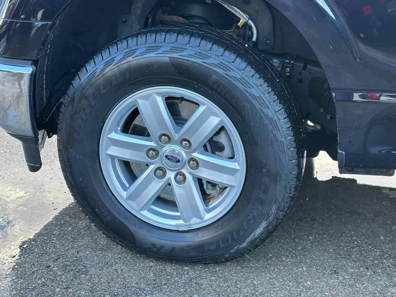 2022 Ford F-150 XLT 4WD SuperCrew 5.5' Box Photo