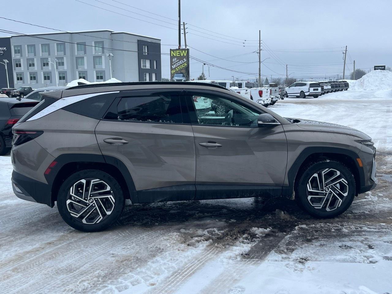 2026 Hyundai Tucson Hybrid Ultimate AWD Photo