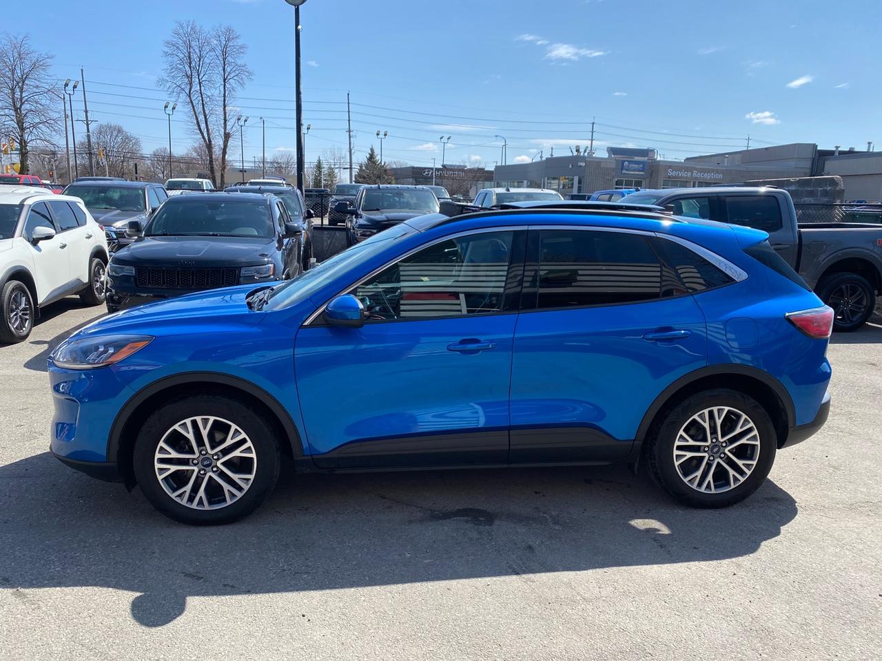 2021 Ford Escape SEL | Leather Seats | Panoramic Sunroof | AWD Photo