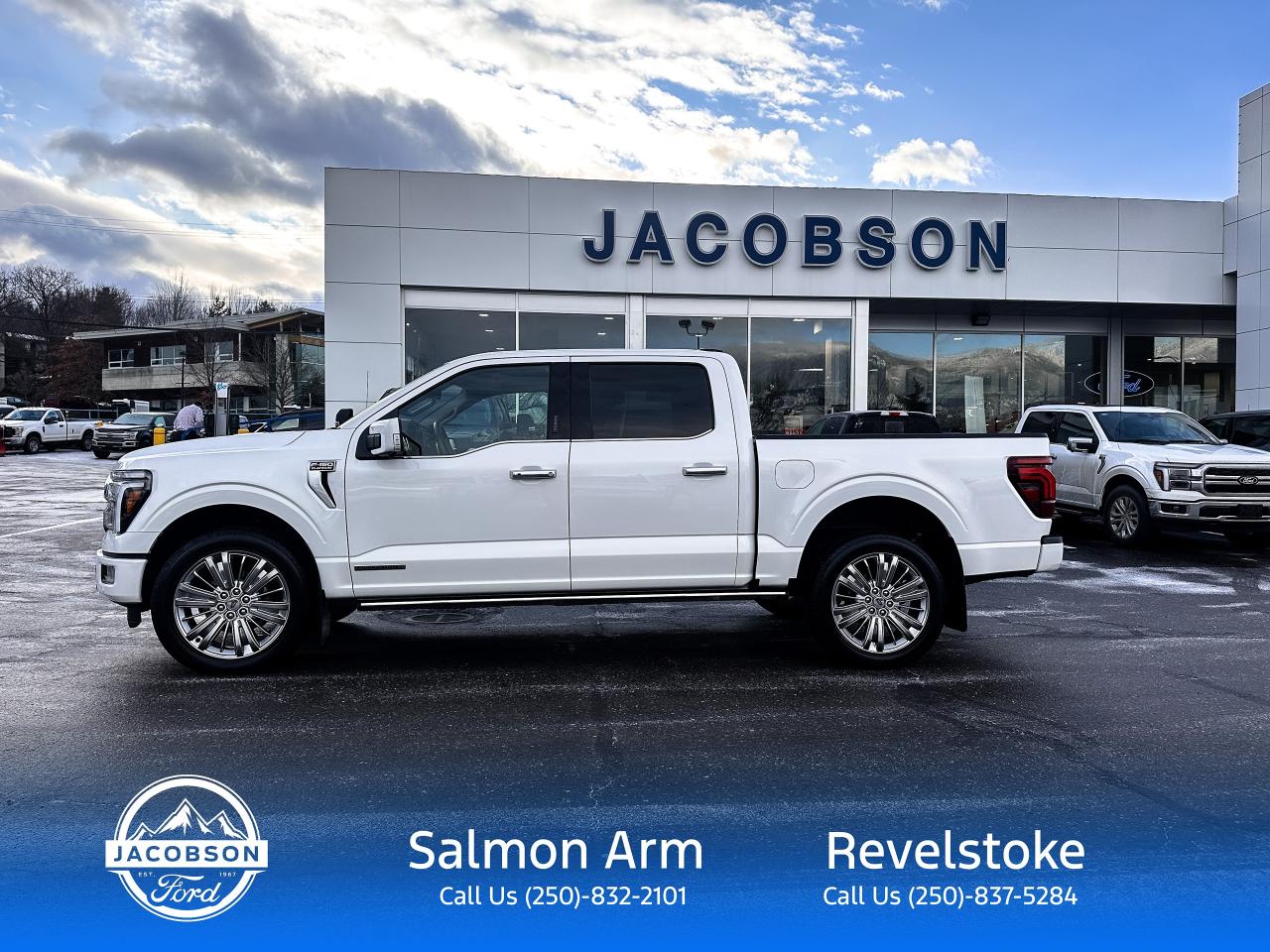 2024 Ford F-150 Platinum Photo1