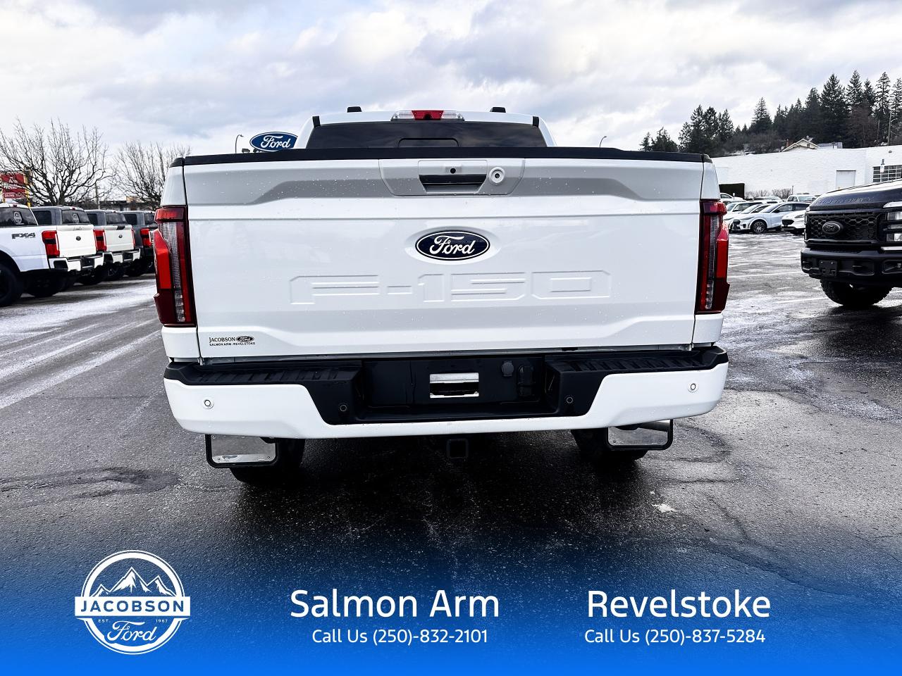 2024 Ford F-150 Platinum Photo3