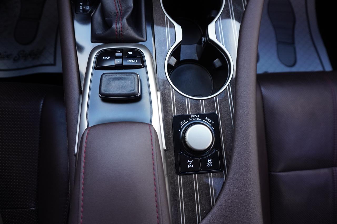 2016 Lexus RX 350 1 OWNER / NO ACCIDENTS / STUNNING COMBO / LUXURY P Photo