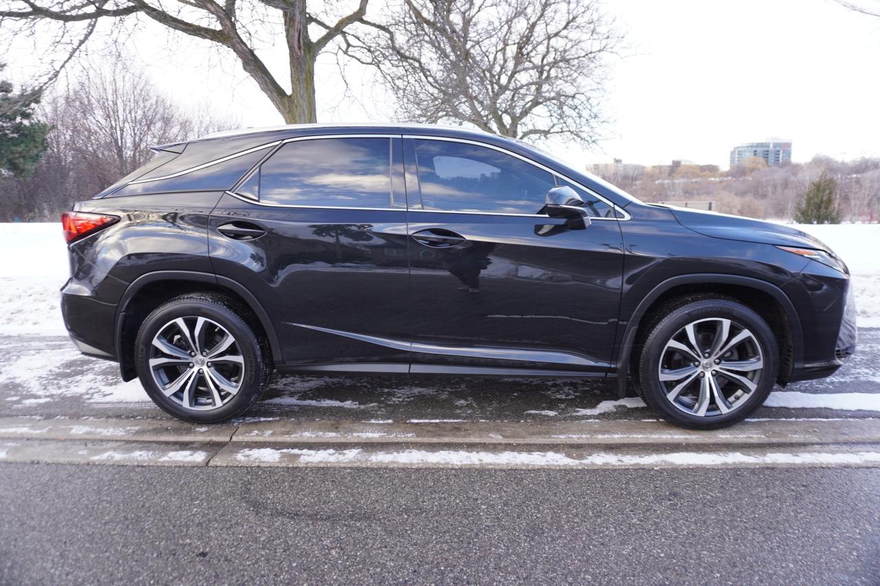 2016 Lexus RX 350 1 OWNER / NO ACCIDENTS / STUNNING COMBO / LUXURY P Photo4