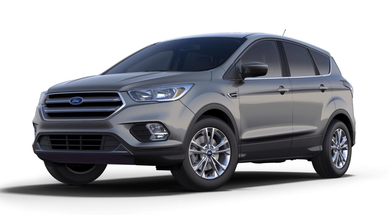 2019 Ford Escape SE FWD LARRY H ENTERPRIS LTD Photo0