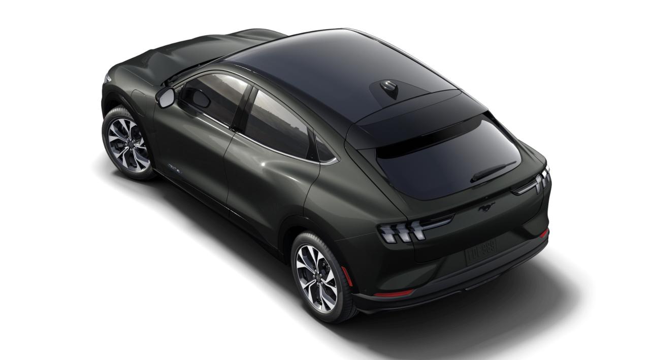 2021 Ford Mustang Mach-E Premium AWD Photo1