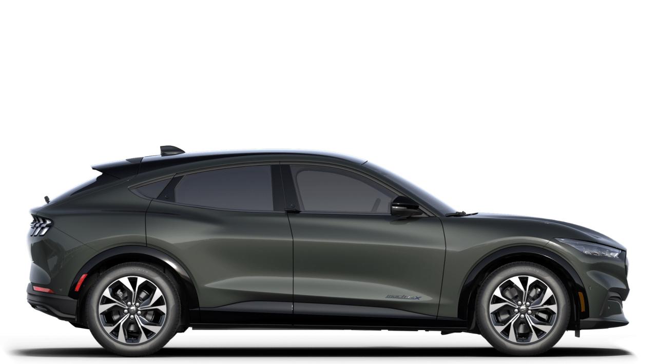 2021 Ford Mustang Mach-E Premium AWD Photo4