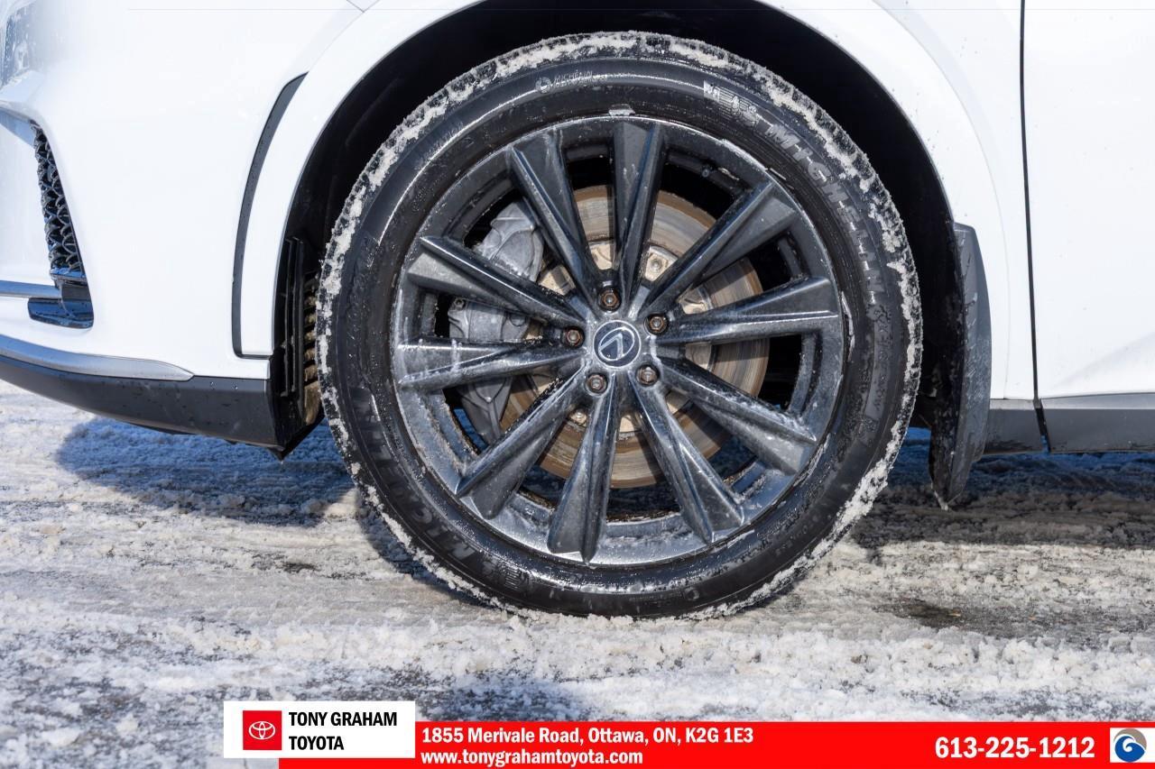 2023 Lexus RX 350 FSport Series 1 Package Photo