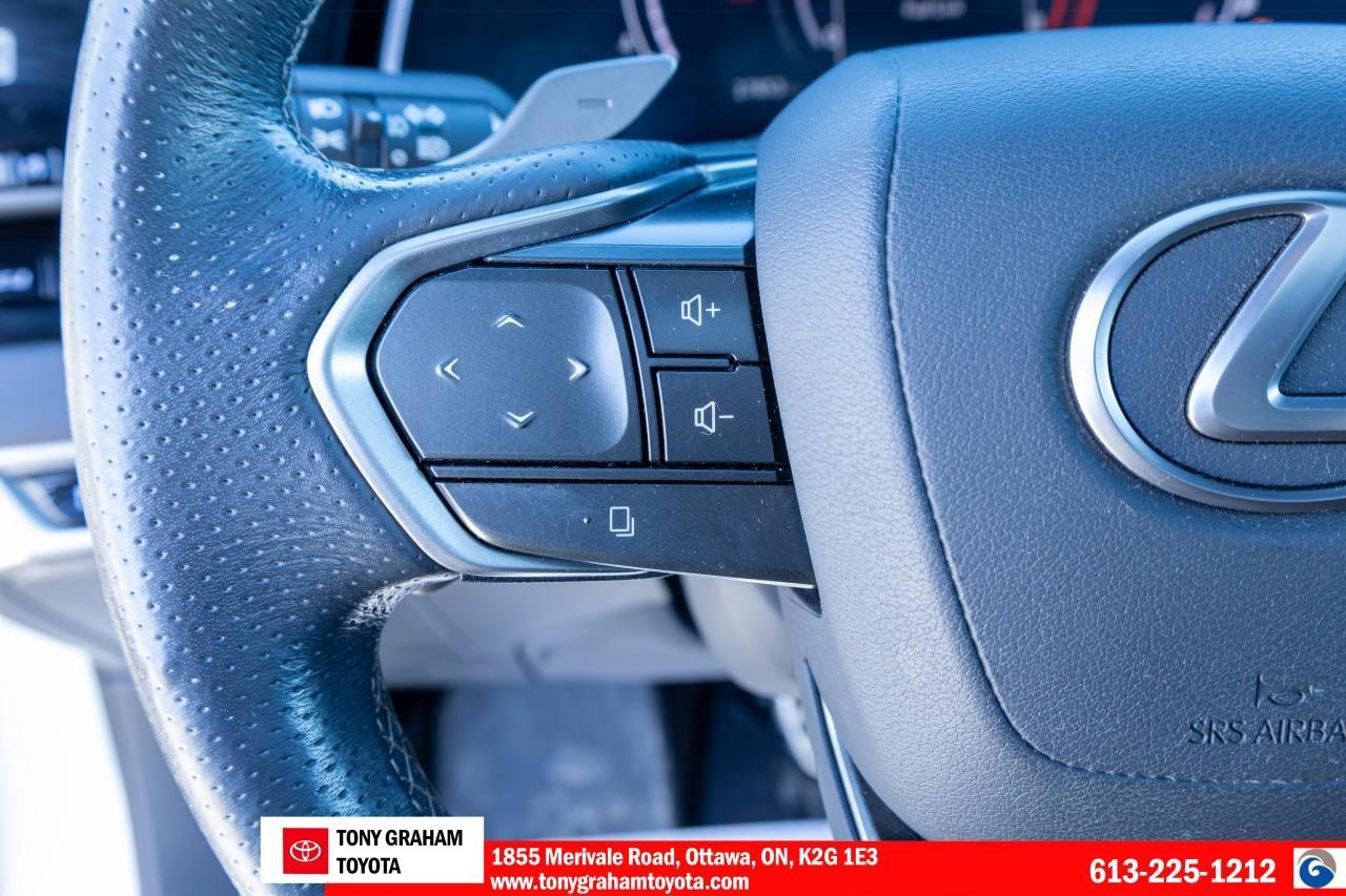 2023 Lexus RX 350 FSport Series 1 Package Photo