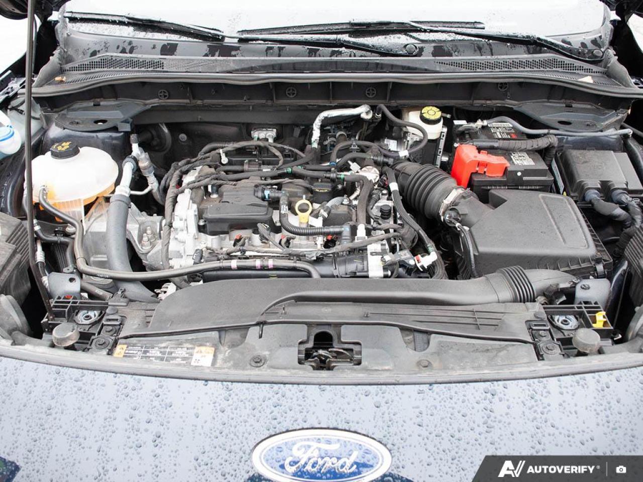 2021 Ford Escape SEL Photo