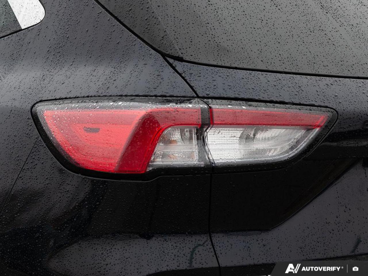 2021 Ford Escape SEL Photo