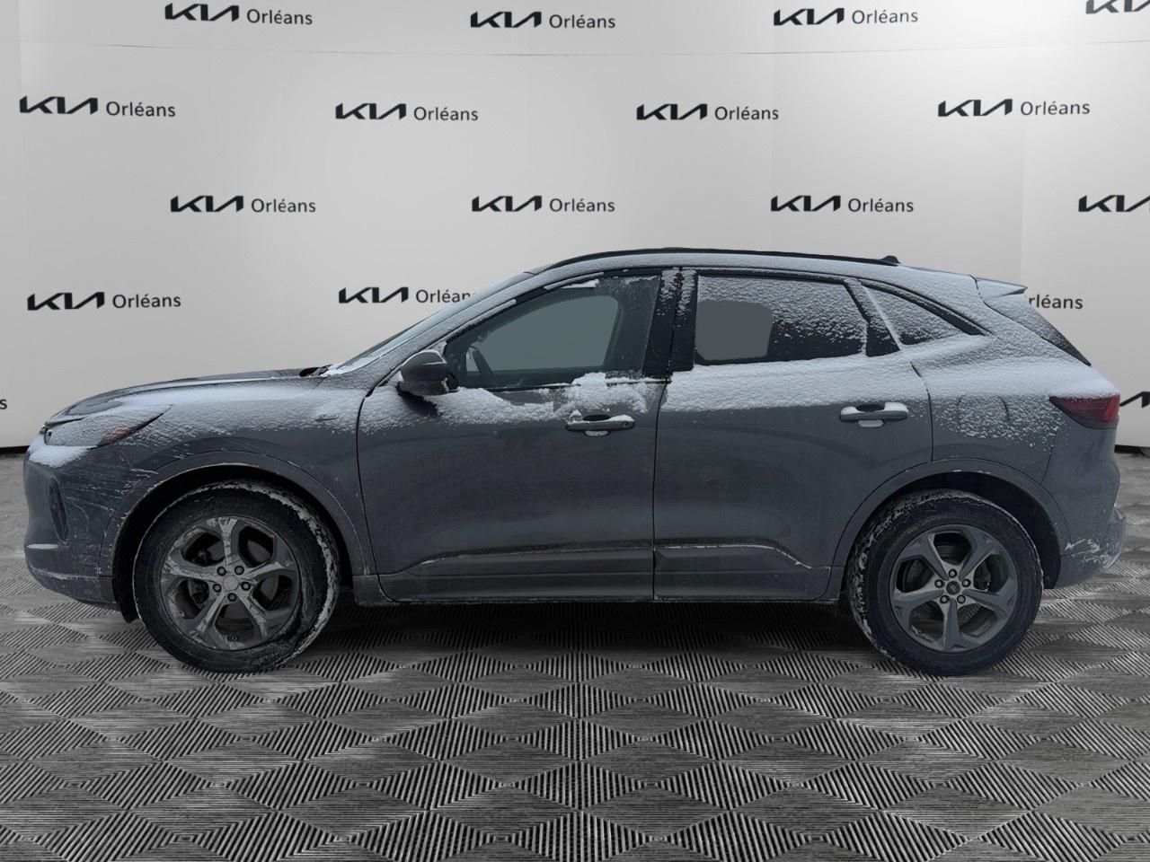 2024 Ford Escape ST-Line AWD Photo