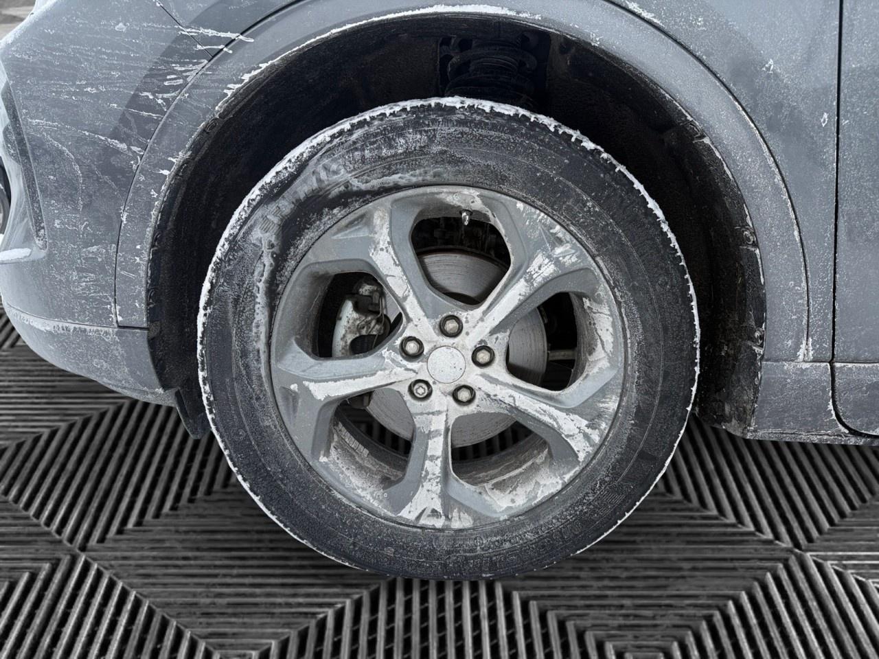 2024 Ford Escape ST-Line AWD Photo