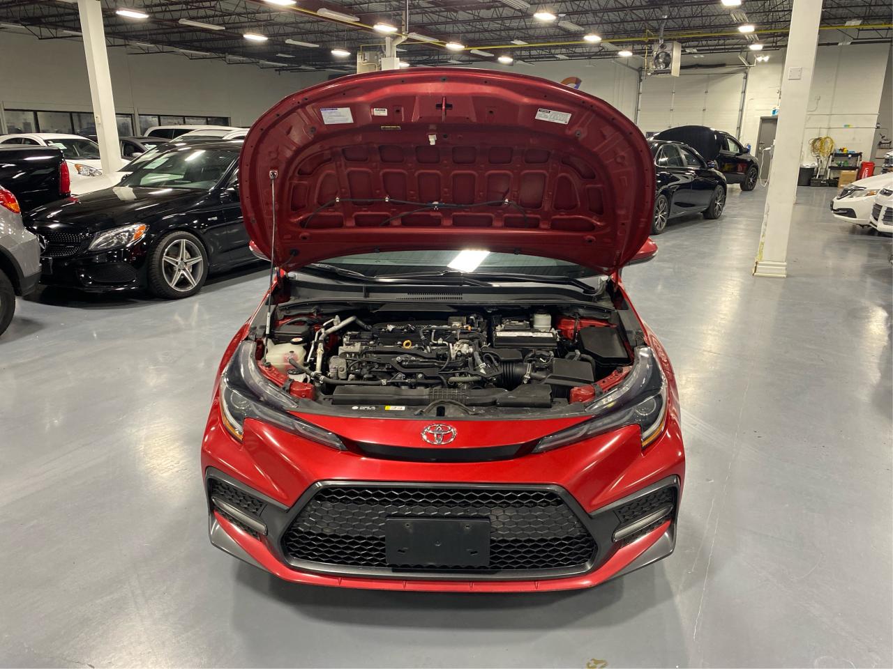 2021 Toyota Corolla SE CVT Photo