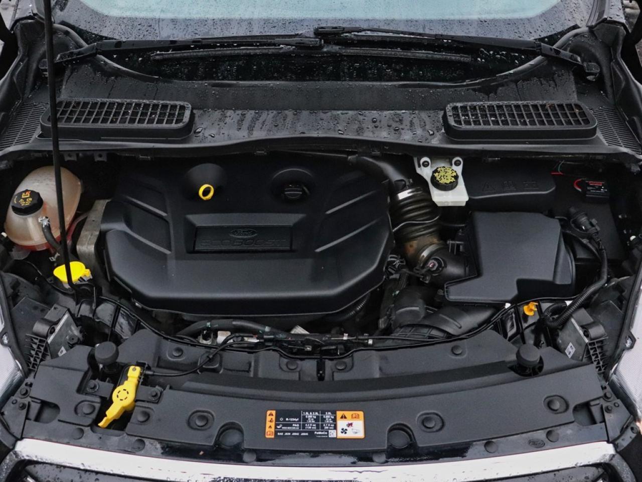 2017 Ford Escape SE | 4WD | 2.0L | SPORT PKG | NAV | PWR LIFTGATE Photo