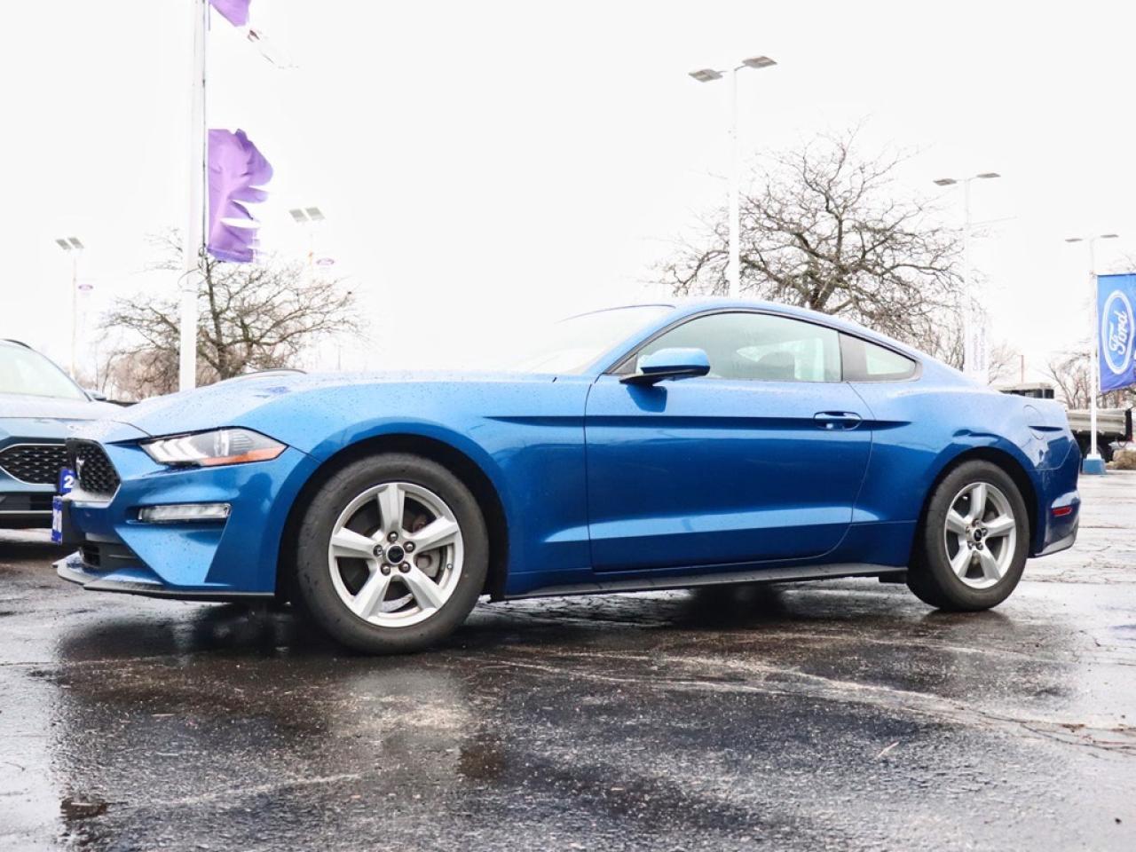 2018 Ford Mustang Ecoboost | 2.3L | 10-SPD AUTO | REARVIEW CAM |17s Photo