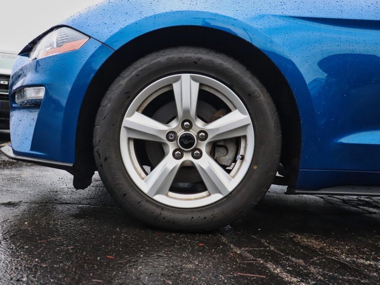 2018 Ford Mustang Ecoboost | 2.3L | 10-SPD AUTO | REARVIEW CAM |17s Photo