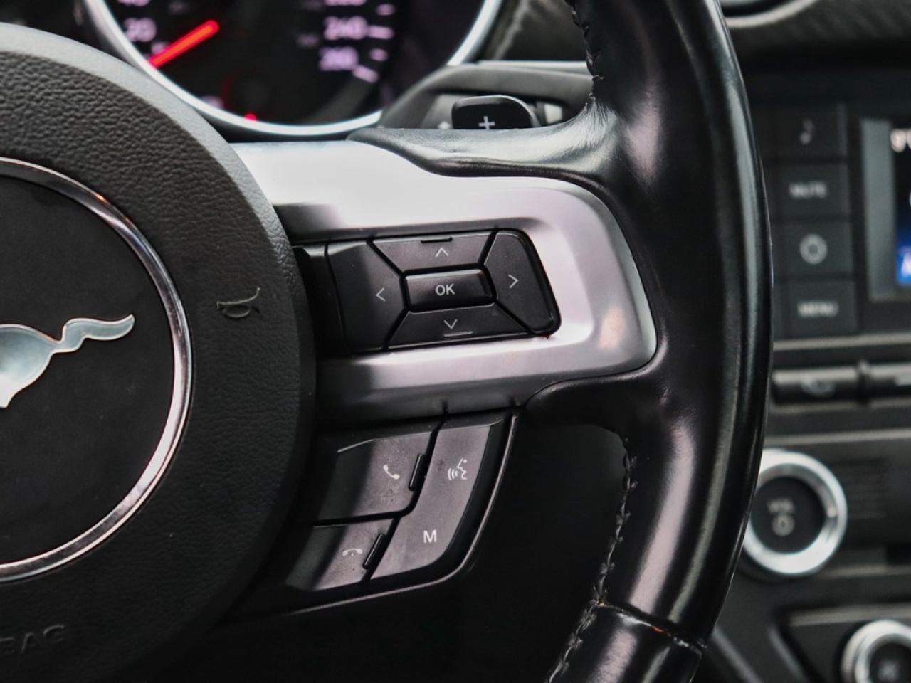 2018 Ford Mustang Ecoboost | 2.3L | 10-SPD AUTO | REARVIEW CAM |17s Photo