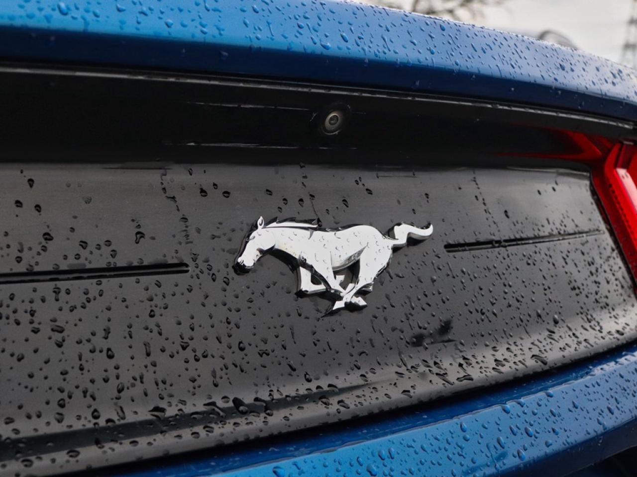 2018 Ford Mustang Ecoboost | 2.3L | 10-SPD AUTO | REARVIEW CAM |17s Photo