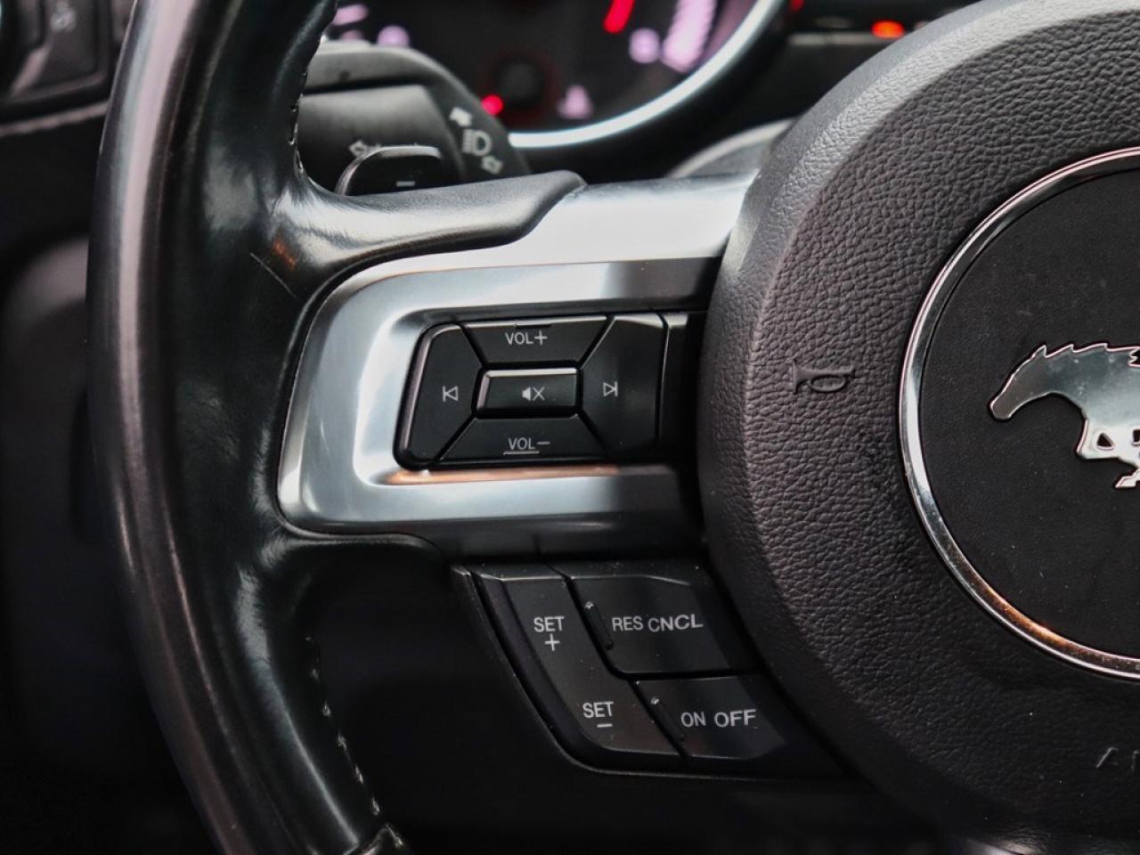 2018 Ford Mustang Ecoboost | 2.3L | 10-SPD AUTO | REARVIEW CAM |17s Photo