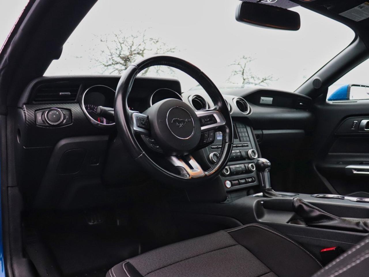 2018 Ford Mustang Ecoboost | 2.3L | 10-SPD AUTO | REARVIEW CAM |17s Photo