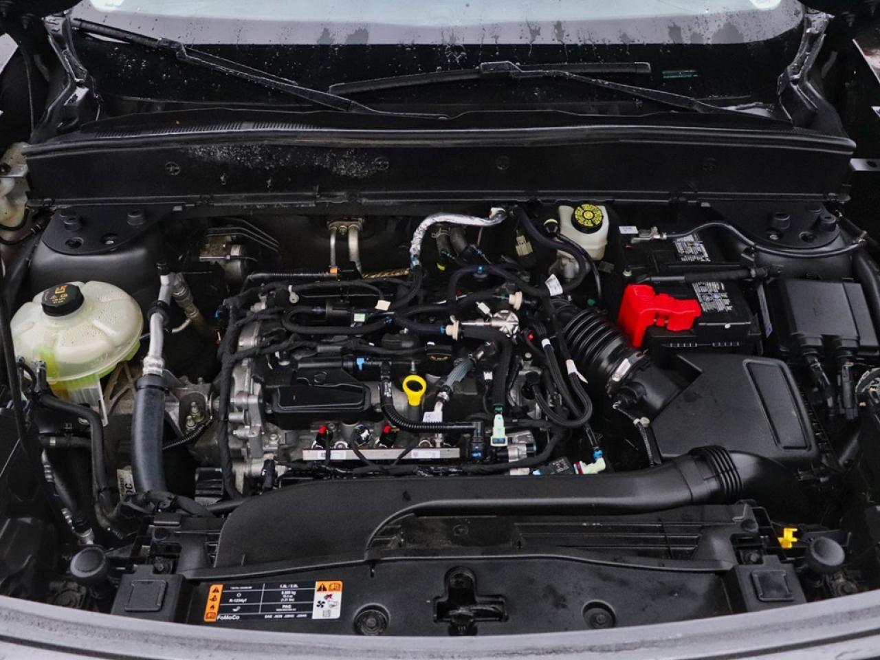 2023 Ford Bronco Sport Big Bend | 4X4 | 1.5L | TOW | CONV PKG | PREM 18s Photo