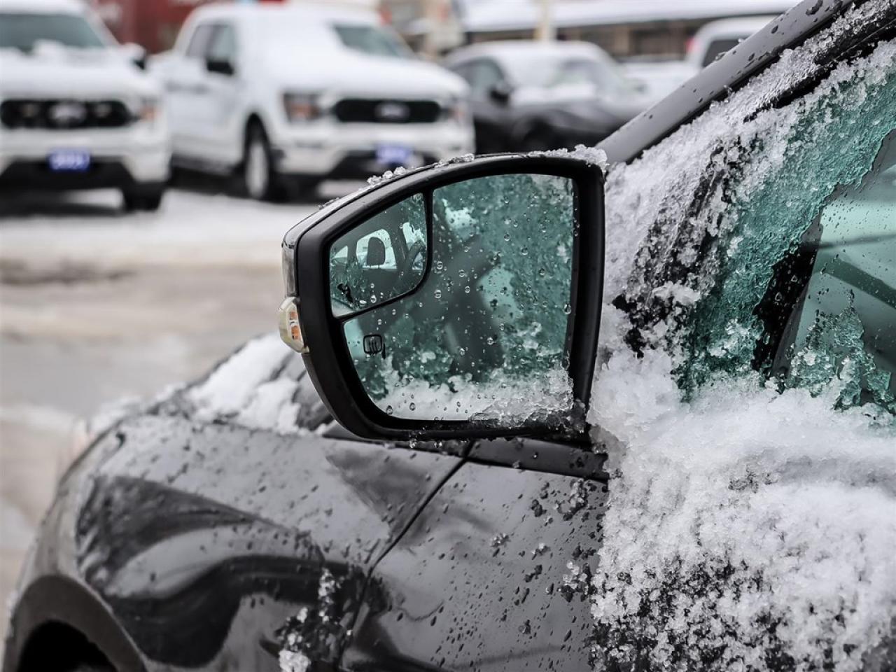 2015 Ford Focus 5DR HB SE Photo