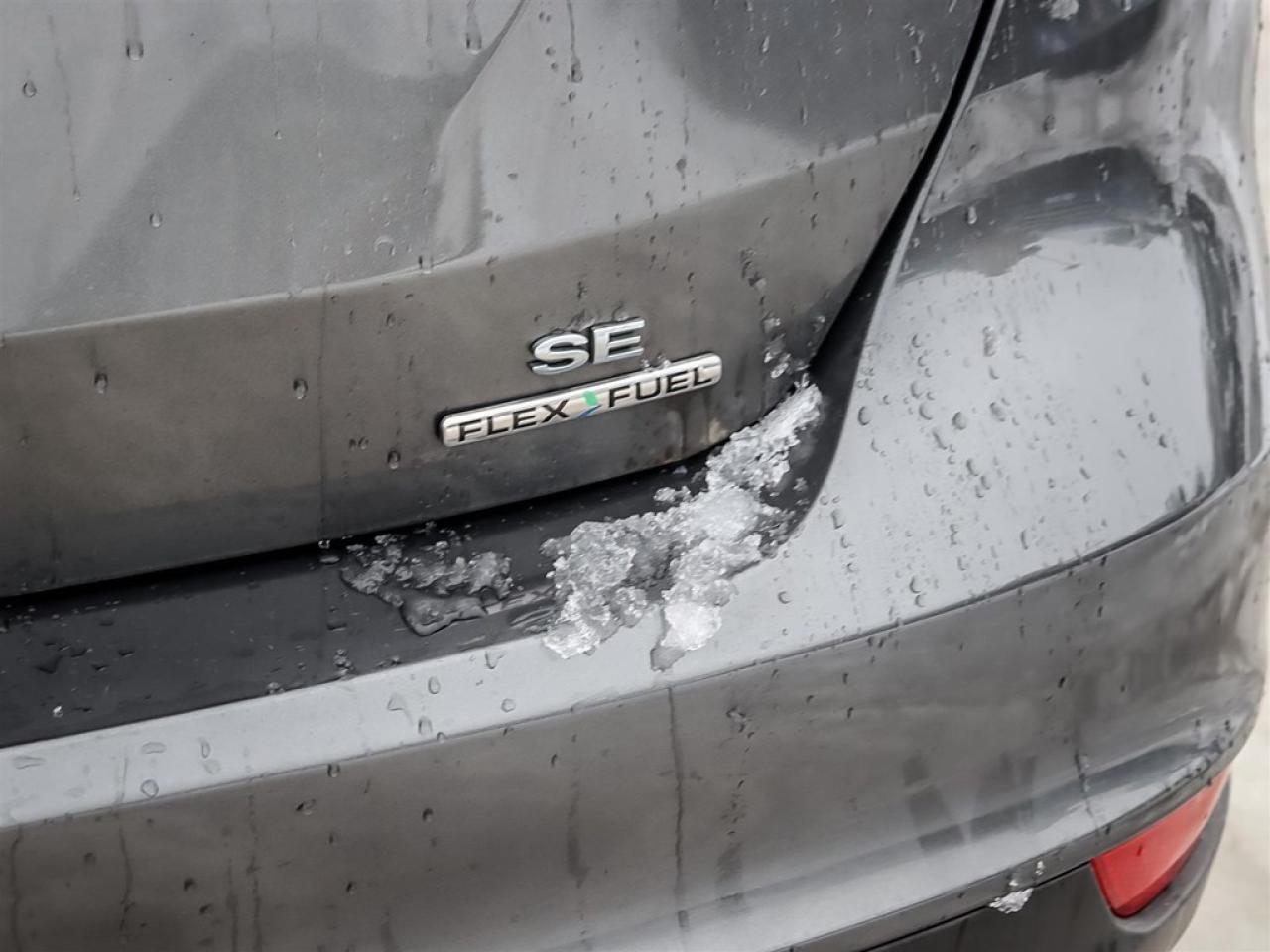 2015 Ford Focus 5DR HB SE Photo