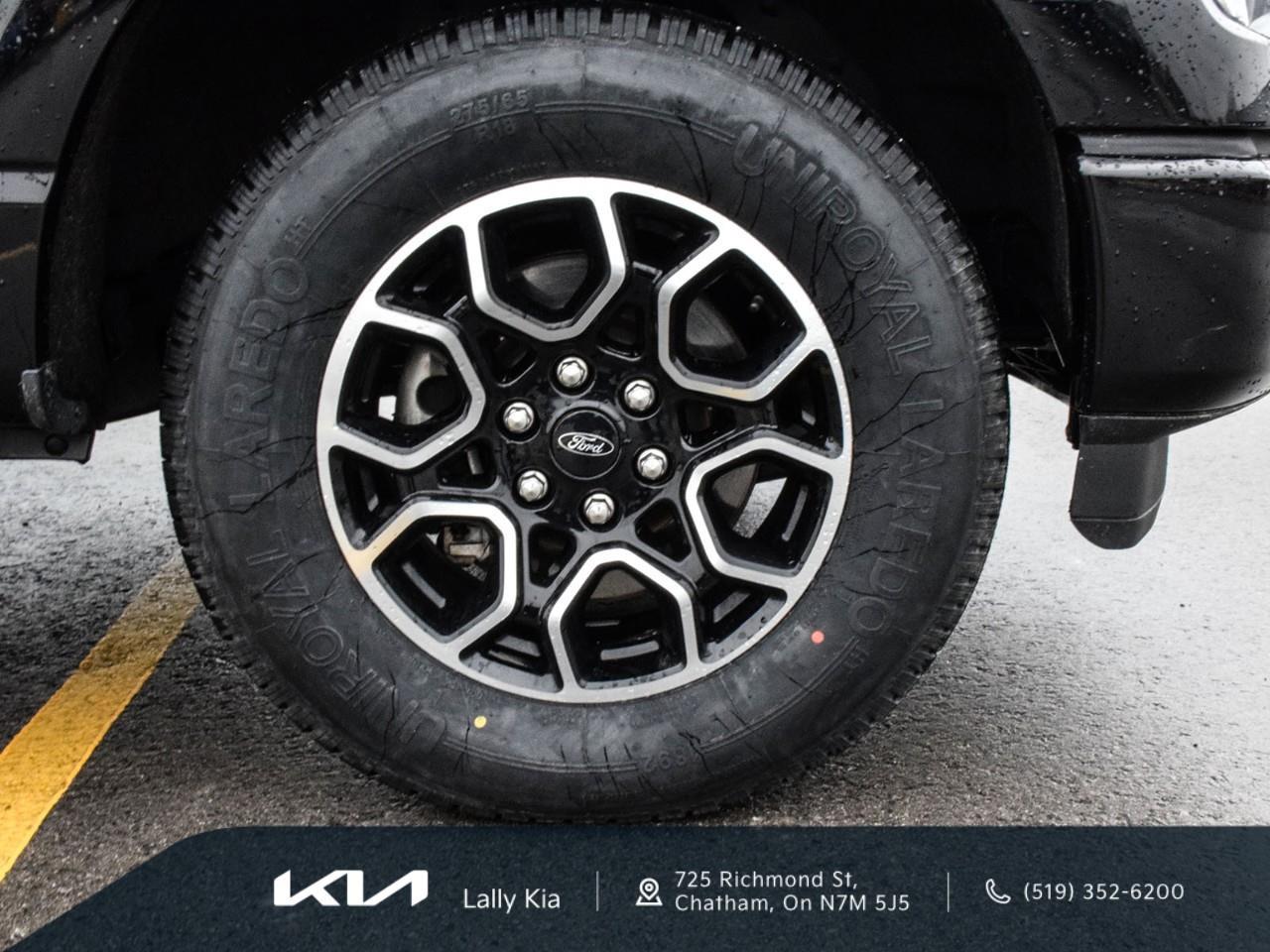 2022 Ford F-150 XLT New Arrival | Recent Trade | 302A - Sport | FX4 | Clean CarFax Photo