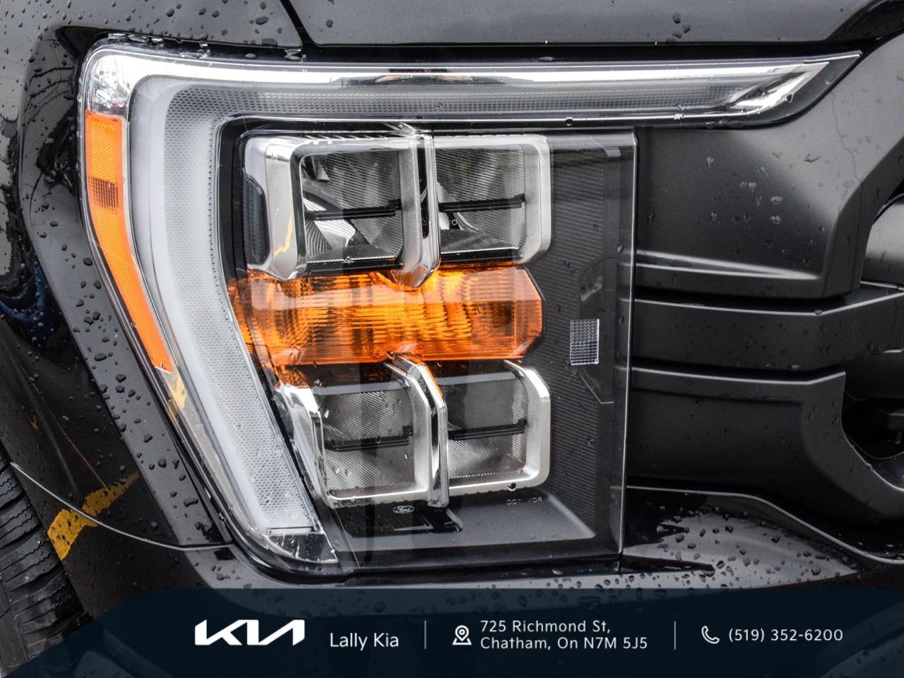 2022 Ford F-150 XLT New Arrival | Recent Trade | 302A - Sport | FX4 | Clean CarFax Photo