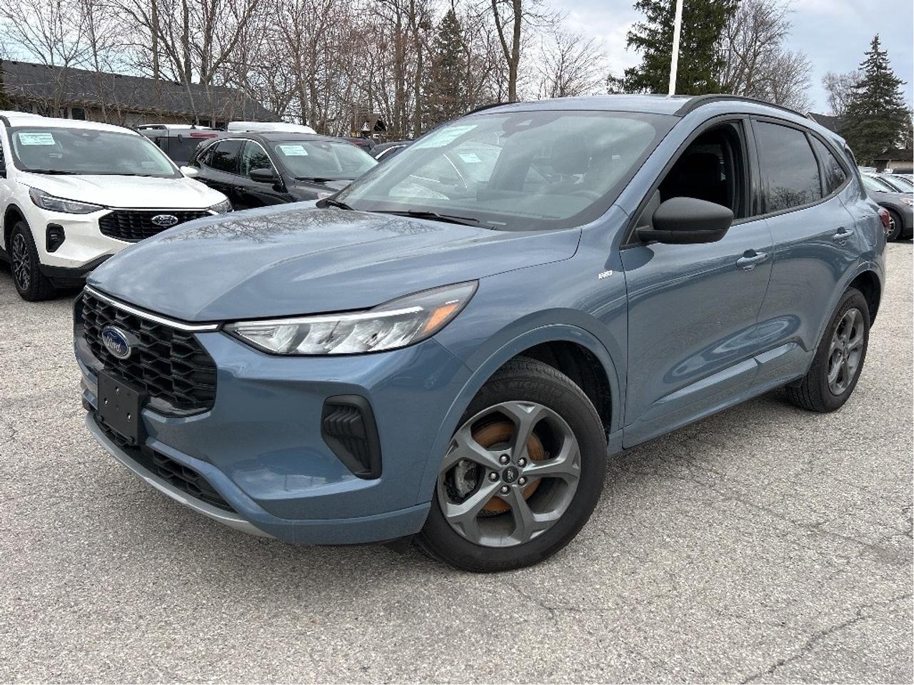 2024 Ford Escape ST-Line AWD Photo