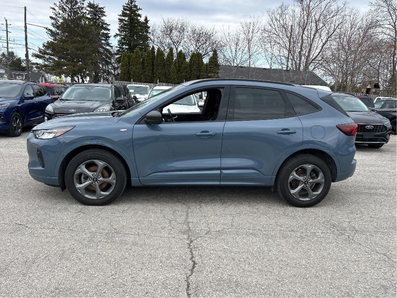 2024 Ford Escape ST-Line AWD Photo