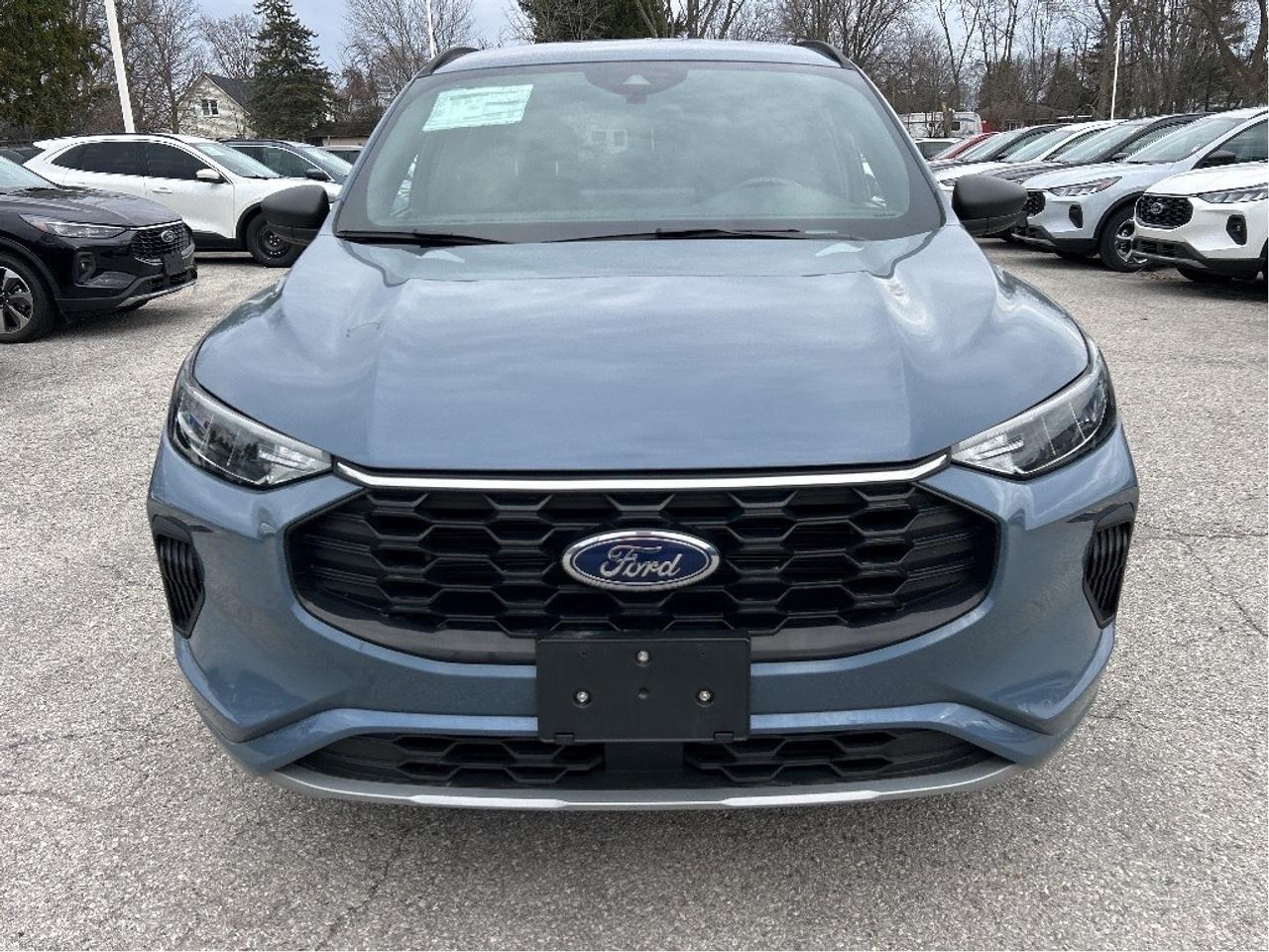 2024 Ford Escape ST-Line AWD Photo