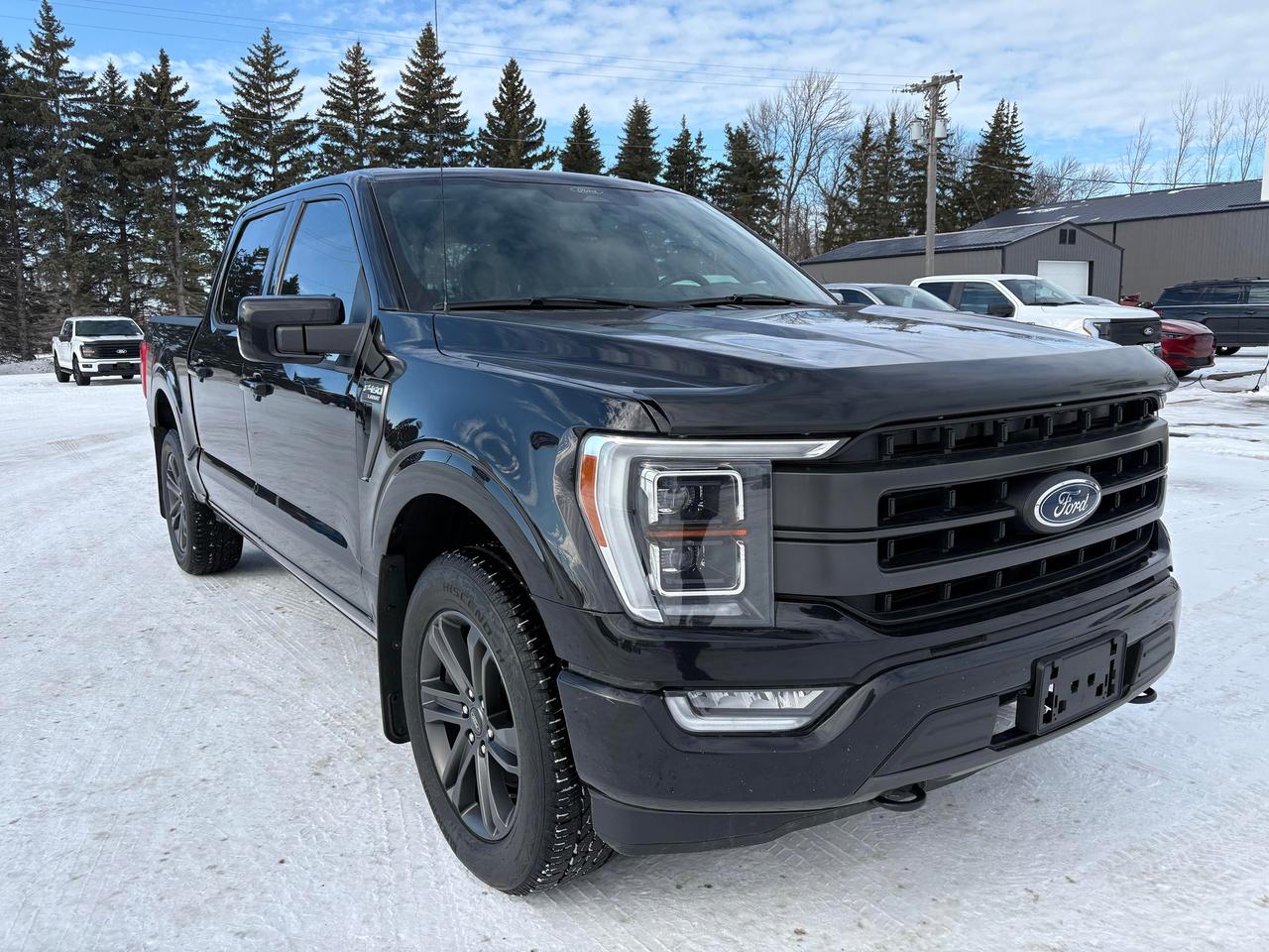 2021 Ford F-150 Lariat 4WD SuperCrew 5.5' Box Photo3