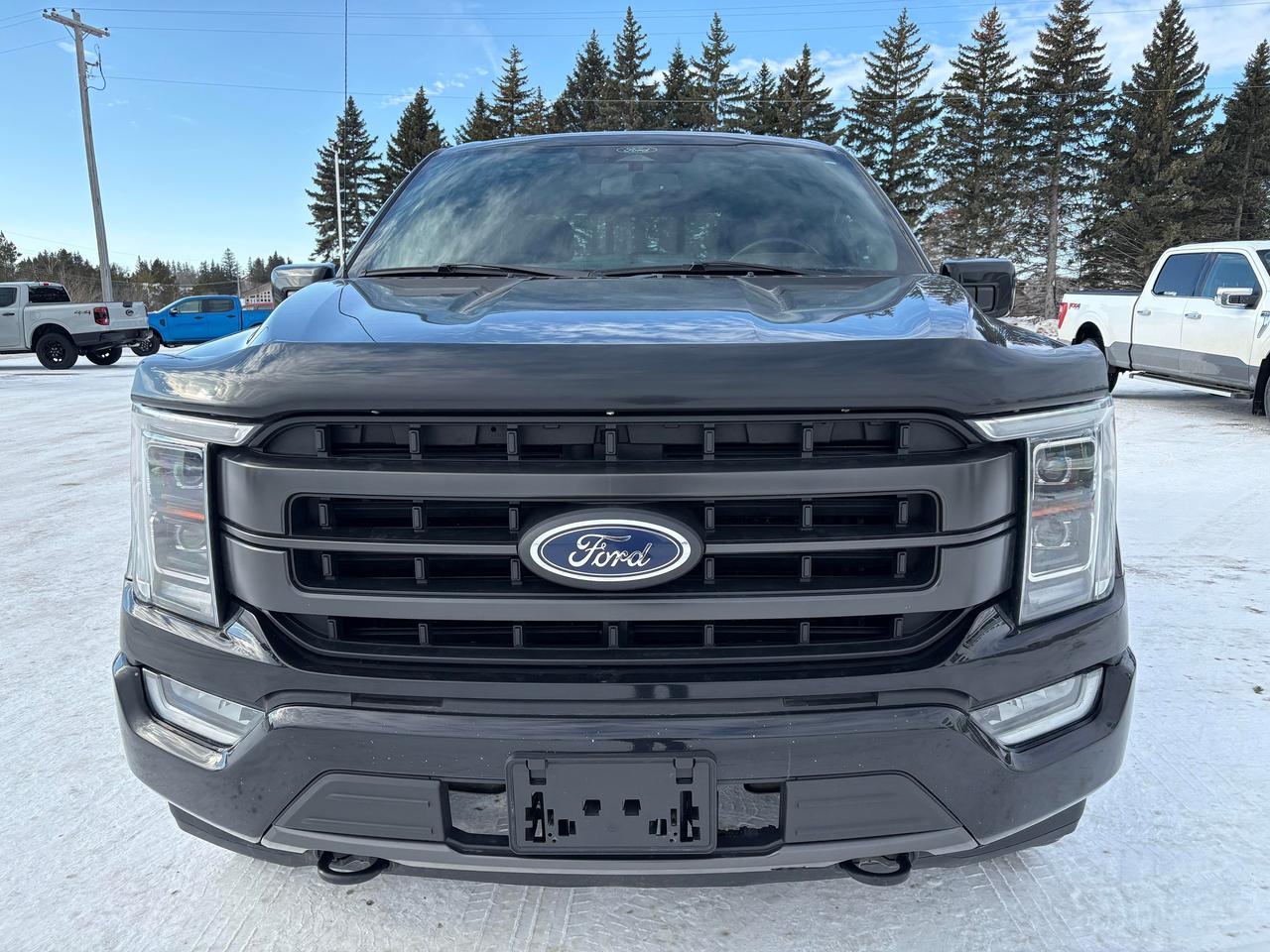 2021 Ford F-150 Lariat 4WD SuperCrew 5.5' Box Photo2