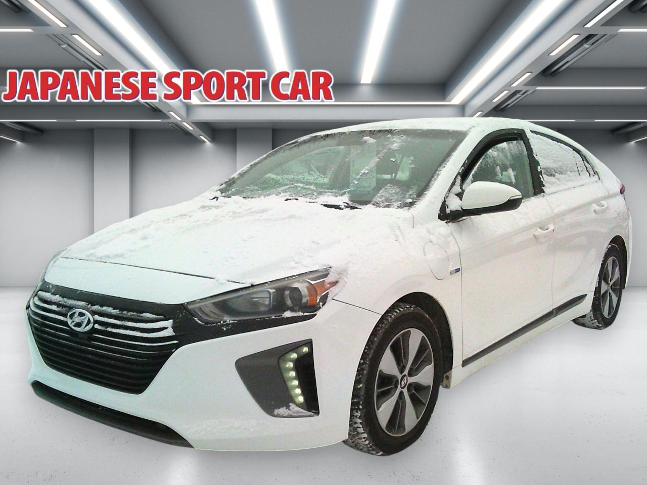 2018 Hyundai IONIQ Electric Plus SE Hatchback Photo