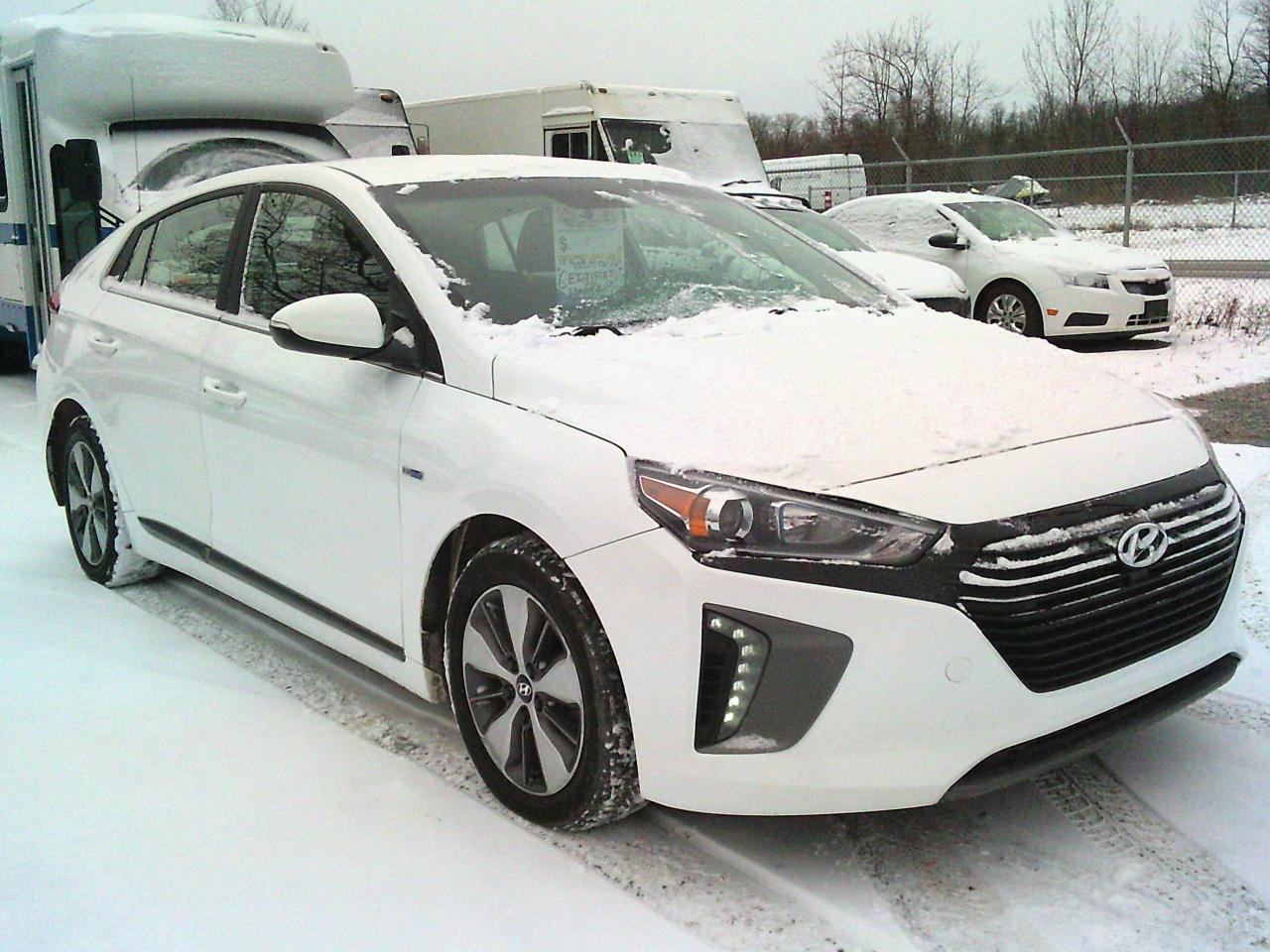 2018 Hyundai IONIQ Electric Plus SE Hatchback Photo