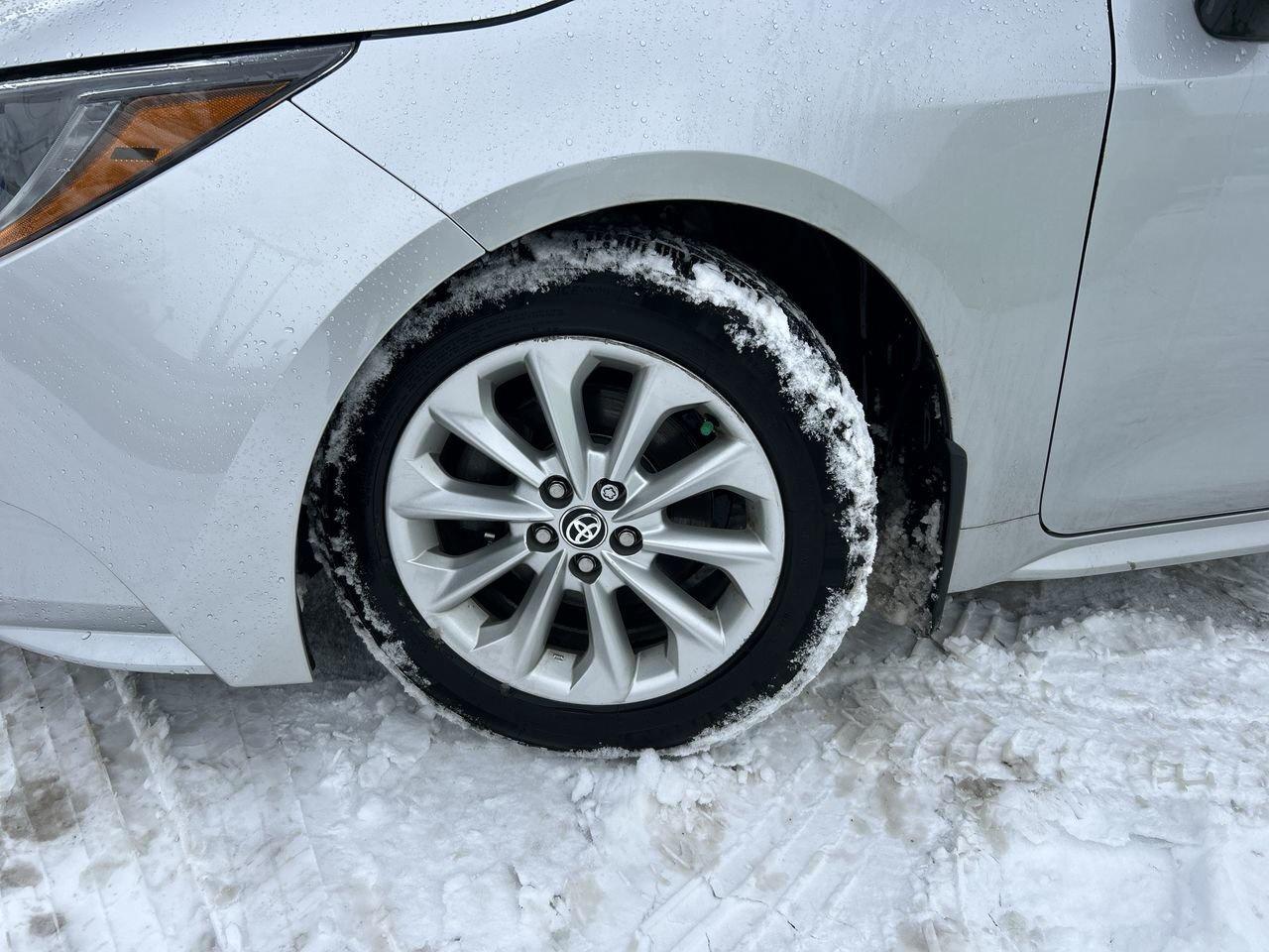 2020 Toyota Corolla 4-door Sedan LE CVT Toyota Safety Sense|BlindSpot Photo