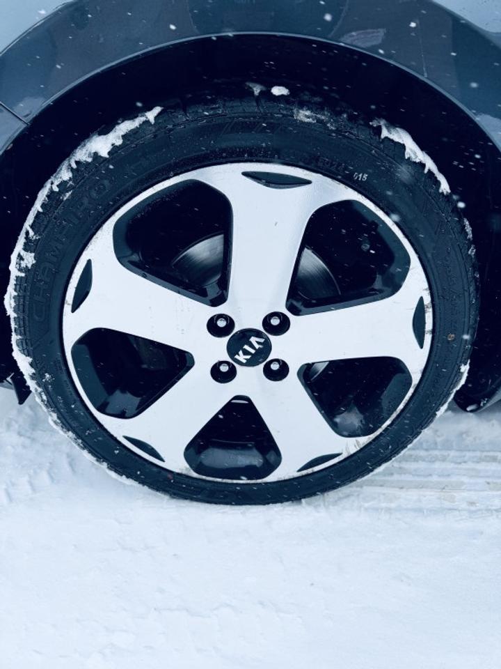 2014 Kia Rio SX Photo