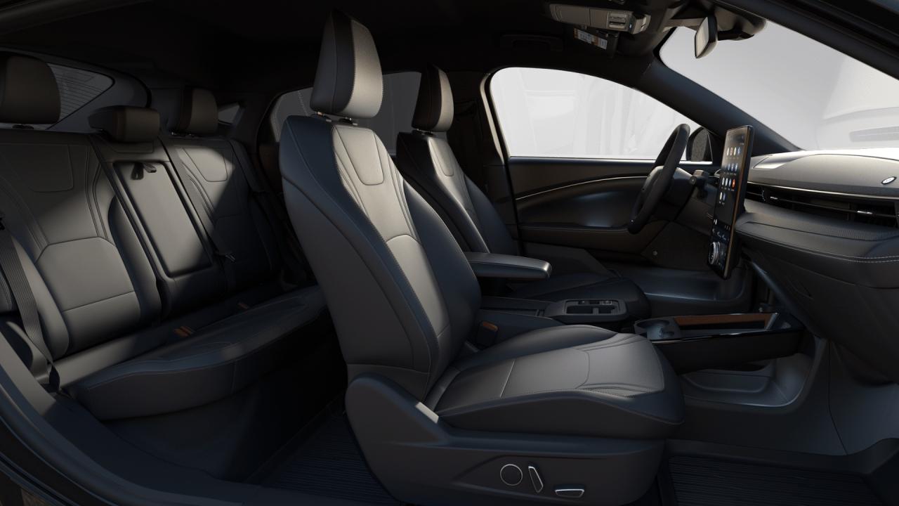 2025 Ford Mustang Mach-E Premium Photo