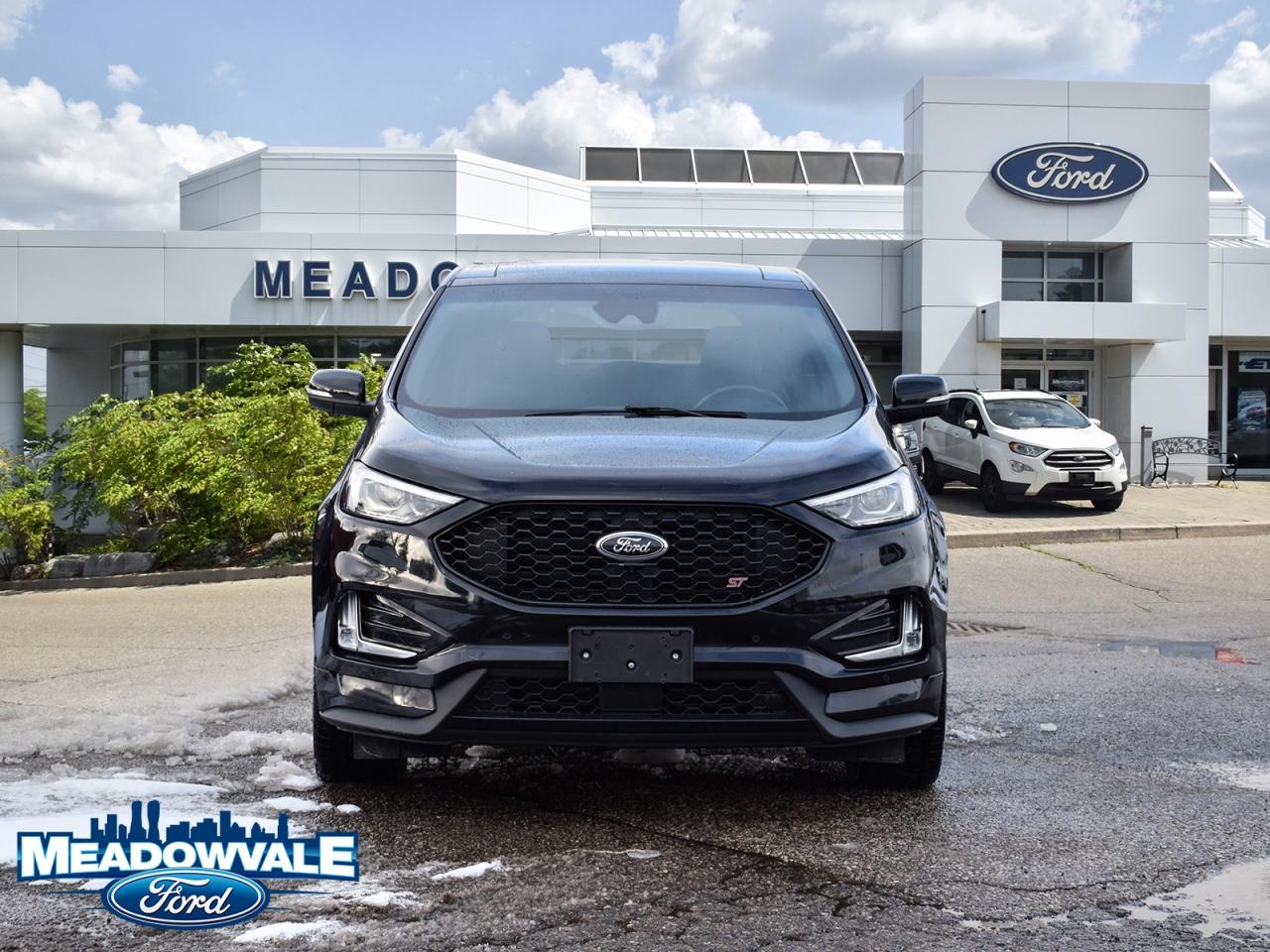 2020 Ford Edge ST Photo